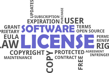 The Hidden Cost of Keeping Unused Software Licenses After Team Changes