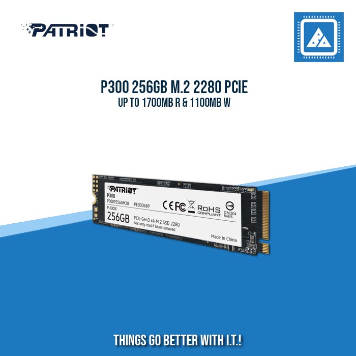 P300 256GB M.2 2280 PCIE UP TO 1700MB R & 1100MB W