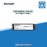 P300 256GB M.2 2280 PCIE UP TO 1700MB R & 1100MB W