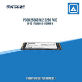 P300 256GB M.2 2280 PCIE UP TO 1700MB R & 1100MB W