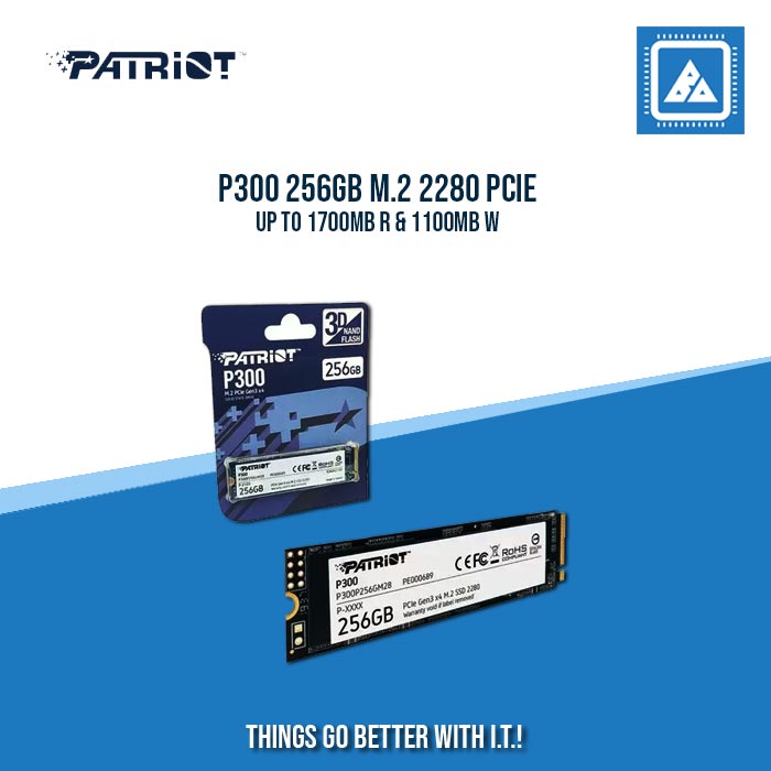 P300 256GB M.2 2280 PCIE UP TO 1700MB R & 1100MB W